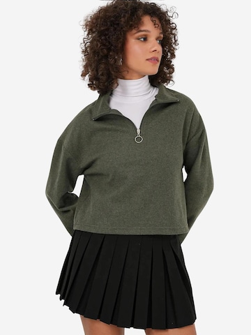 Bigdart Pullover in Grün