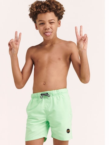 Shorts de bain Shiwi en vert : devant