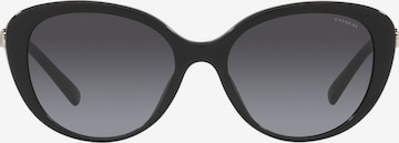 COACH Sončna očala | črna barva