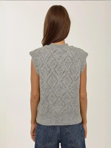 Hiccup Vest in Grey