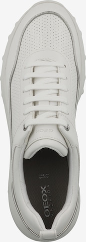 Sneaker bassa di GEOX in bianco