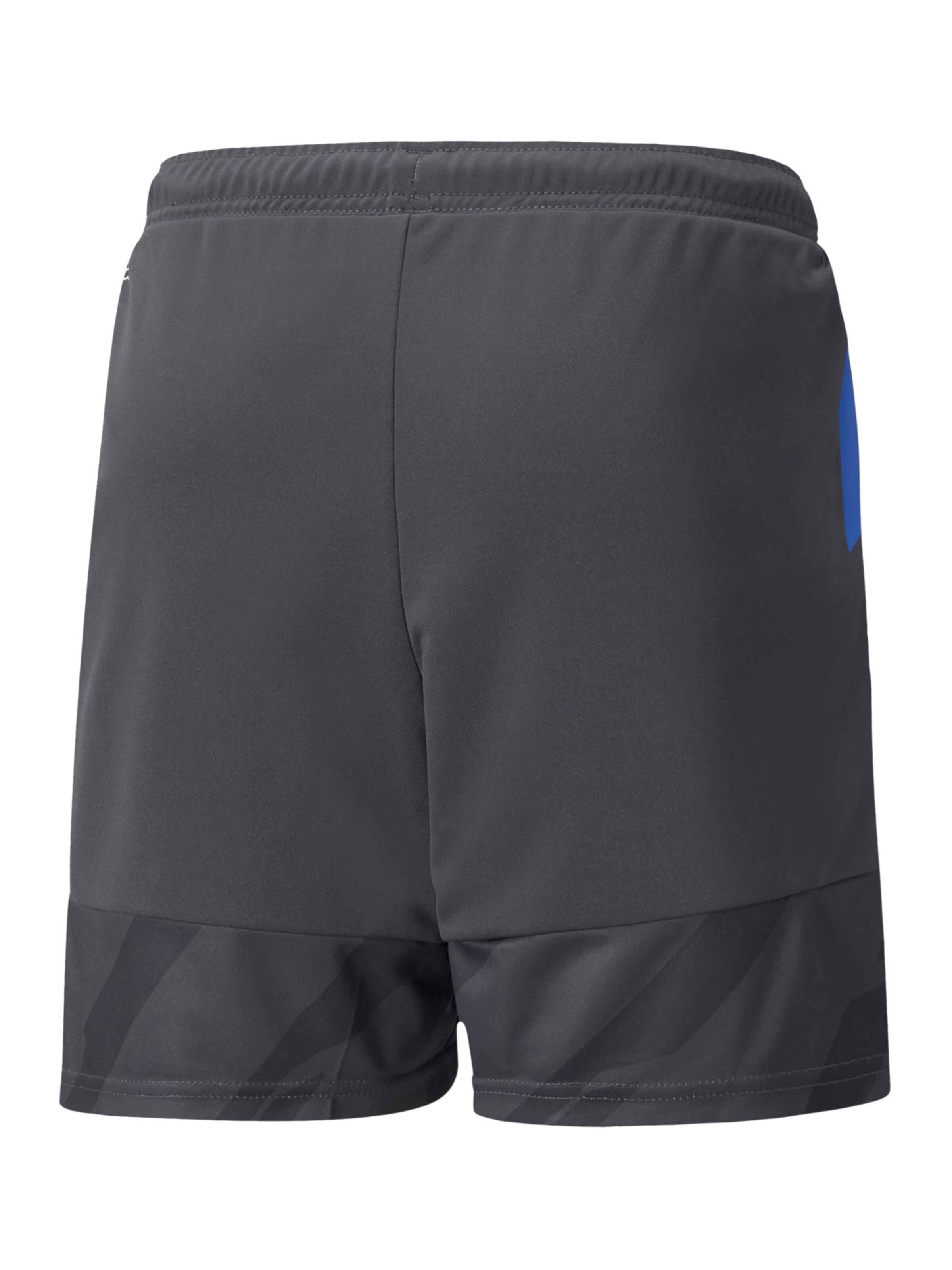 PUMA Regular Workout Pants in Grey