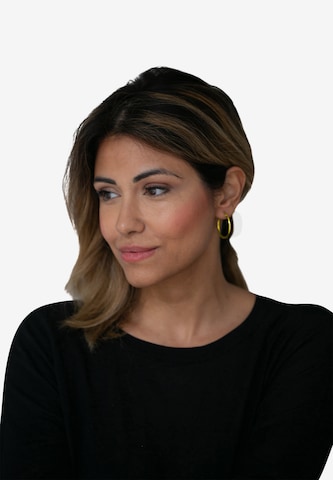 Heideman Earrings in Gold: front