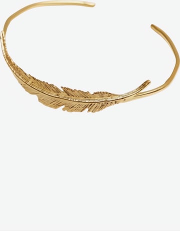 Les ReinesNarukvica 'Golden Laurel' - zlatna boja: prednji dio