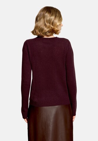 Cartoon Pullover in Braun