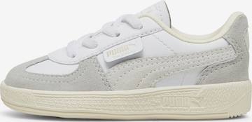 Baskets 'Palermo' PUMA en blanc : devant