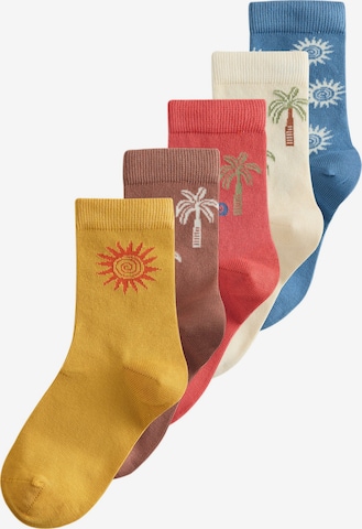 Next Socks in Mixed colours: front