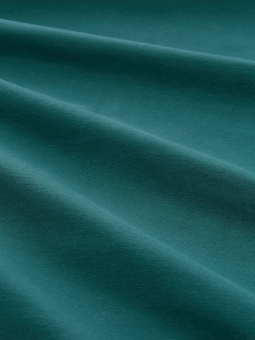 TOM TAILOR Sweatshirt in Green