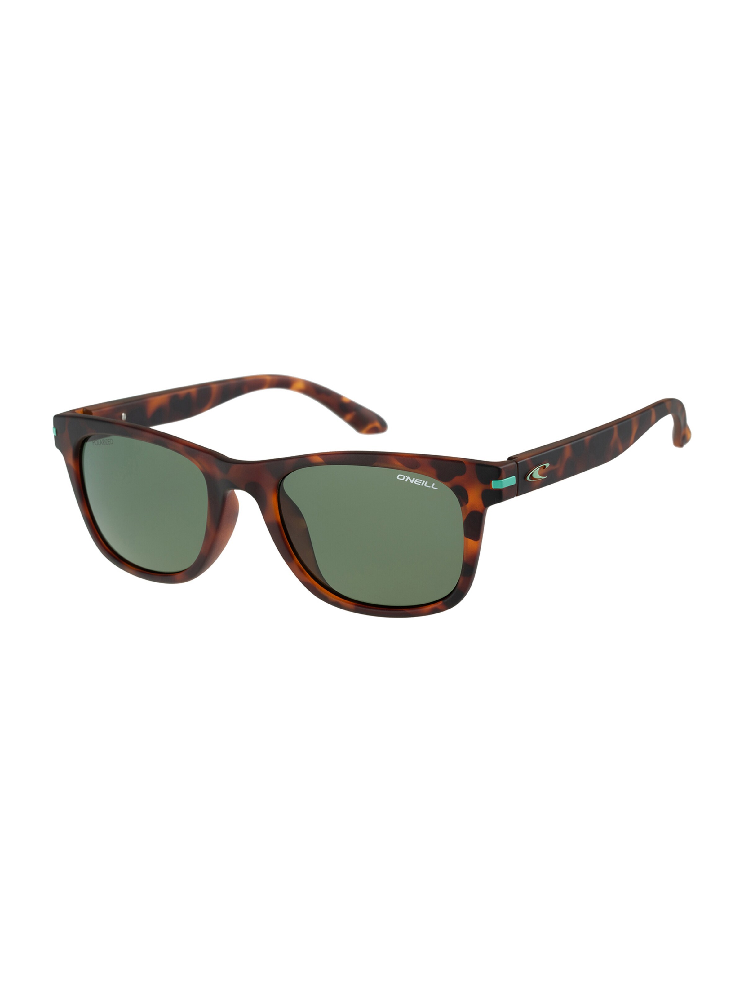 O’Neill Eyewear Sunglasses in Brown: front