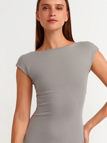 Dilvin Dress in Grey