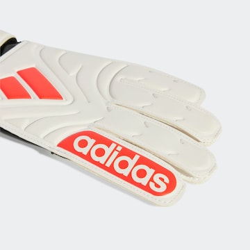 ADIDAS PERFORMANCE Torwarthandschuhe in Weiß