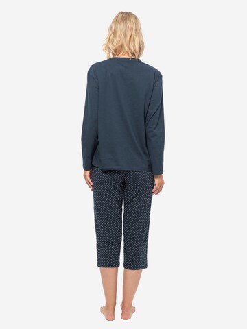 SCHIESSER Pyjama 'Cotton' in Blauw