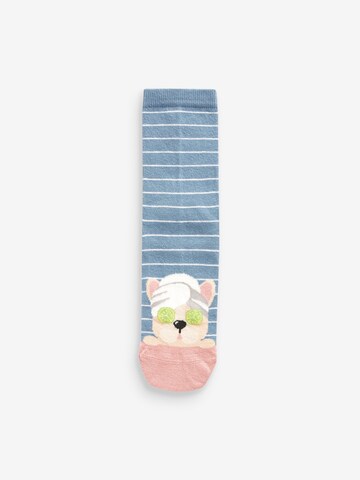 Next Socken in Mischfarben