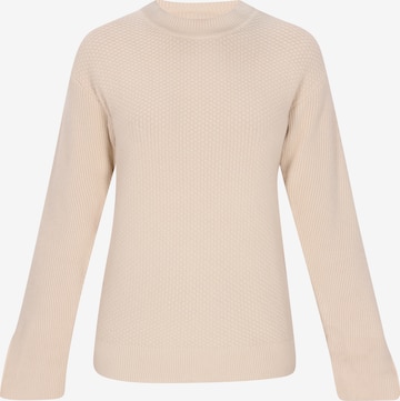 Pull-over 'Fashion Look' NALLY en beige : devant