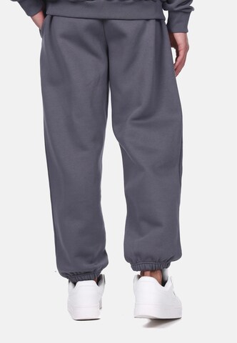 Dropsize Loose fit Pants in Grey