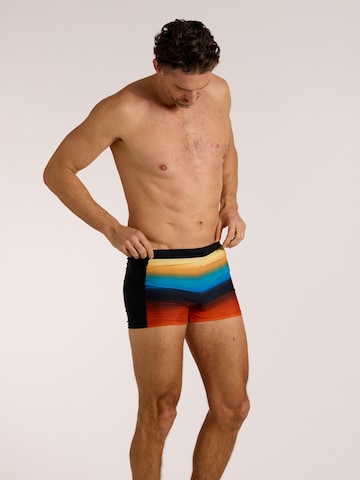 wavebreaker Swim Trunks in Mixed colors