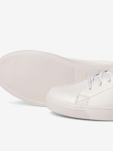 Baskets basses JACK & JONES en blanc