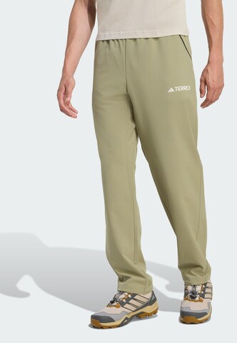 ADIDAS TERREX Regular Outdoor Pants 'Multi Liteflex' in Green: front