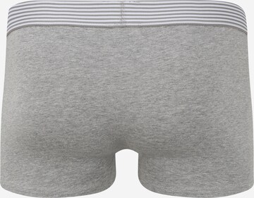 CR7 - Cristiano Ronaldo Boxershorts in Mischfarben