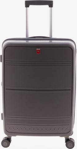 Gladiator Trolley '3500' in Grau: Vorderseite