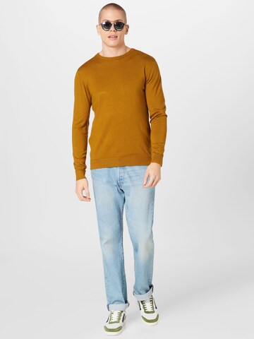 Petrol Industries Sweater in Brown