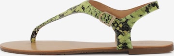 Kazar T-bar sandals in Green: front