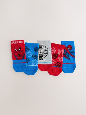 Chaussettes Next en mélange de couleurs