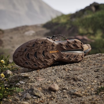Pantofi 'Freehiker SL' de la ADIDAS TERREX pe maro