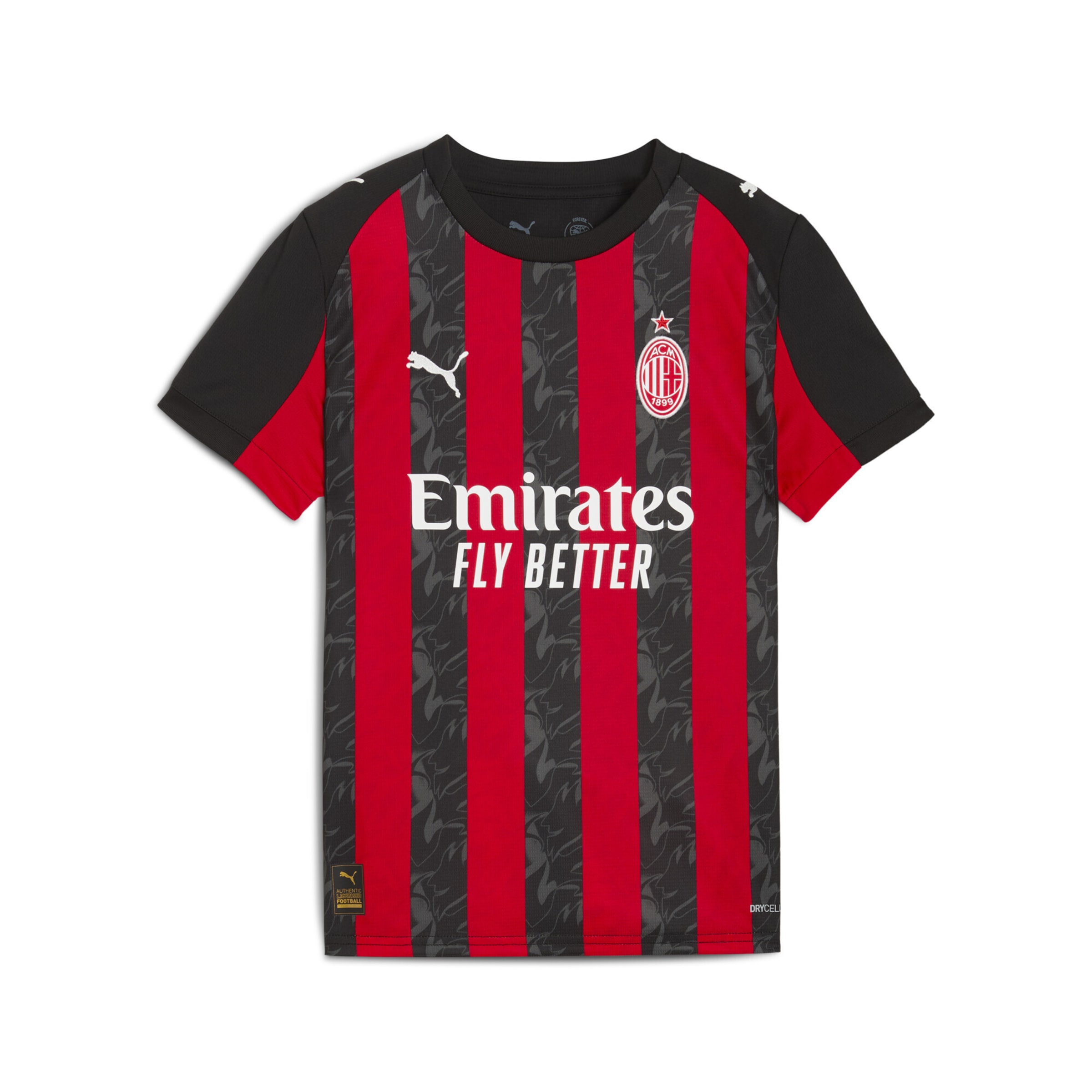 PUMA Funktionsshirt 'AC Milan 25/26' in Rot: Vorderseite
