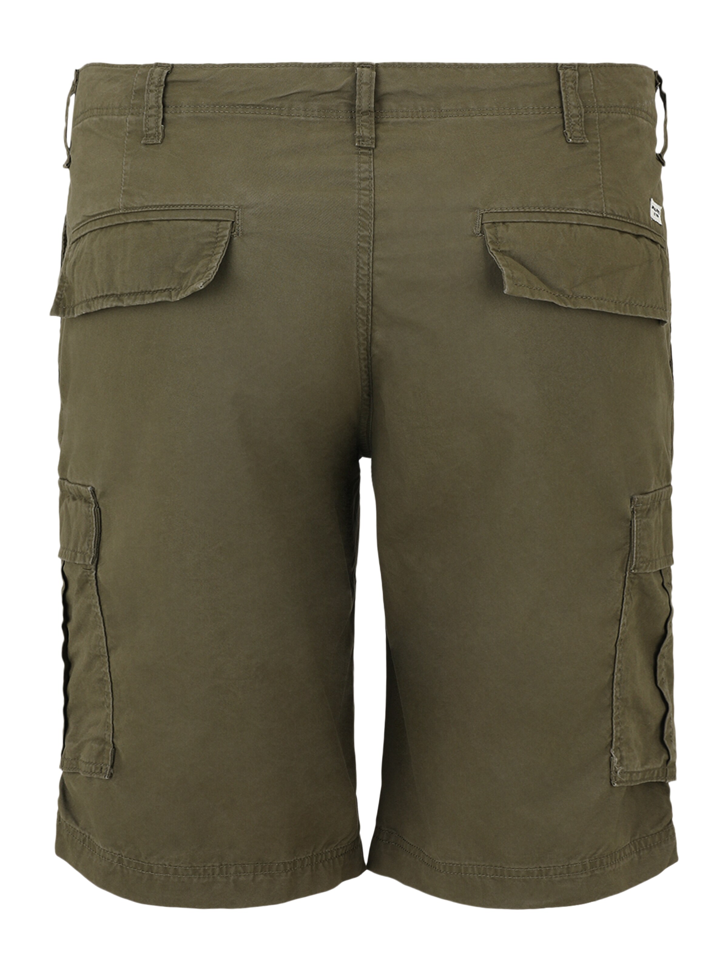 Jack & Jones Plus Regular Cargo trousers 'COLE CAMPAIGN' in Green