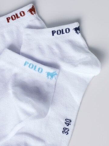 Polo Sylt Socken in Weiß