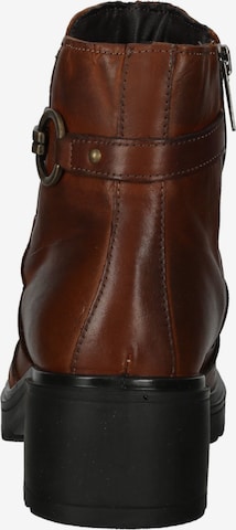 Bottines IGI&CO en marron