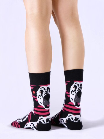 UNABUX Freizeitsocken ' Mix ' in Mischfarben