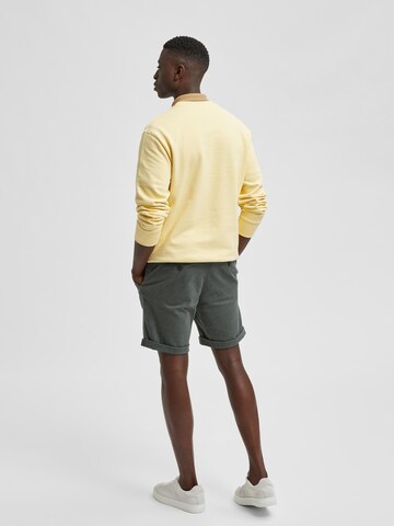 SELECTED HOMME Regular Shorts 'Luton' in Grün