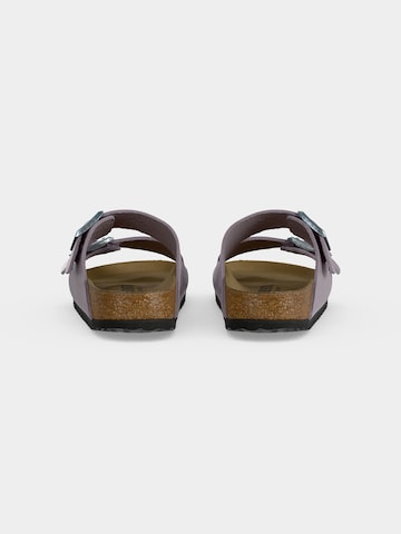 purpurinė BIRKENSTOCK Šlepetės 'Arizona'