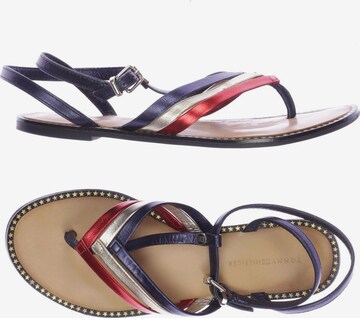 TOMMY HILFIGER Sandals & High-Heeled Sandals in 37,5 in Mixed colors: front