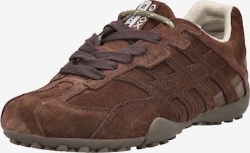 Baskets basses GEOX en marron : devant