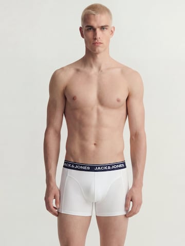 JACK & JONES Boxer shorts 'JACBRANCO' in Blue: front