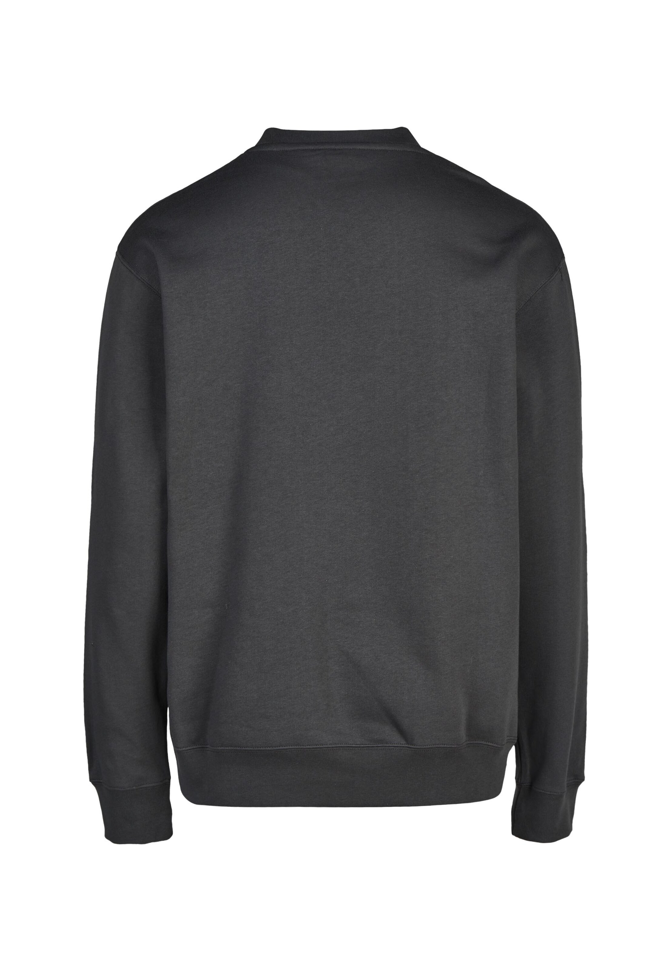 Cleptomanicx Sweatshirt 'Crewneck Ligull Classic' in Grau