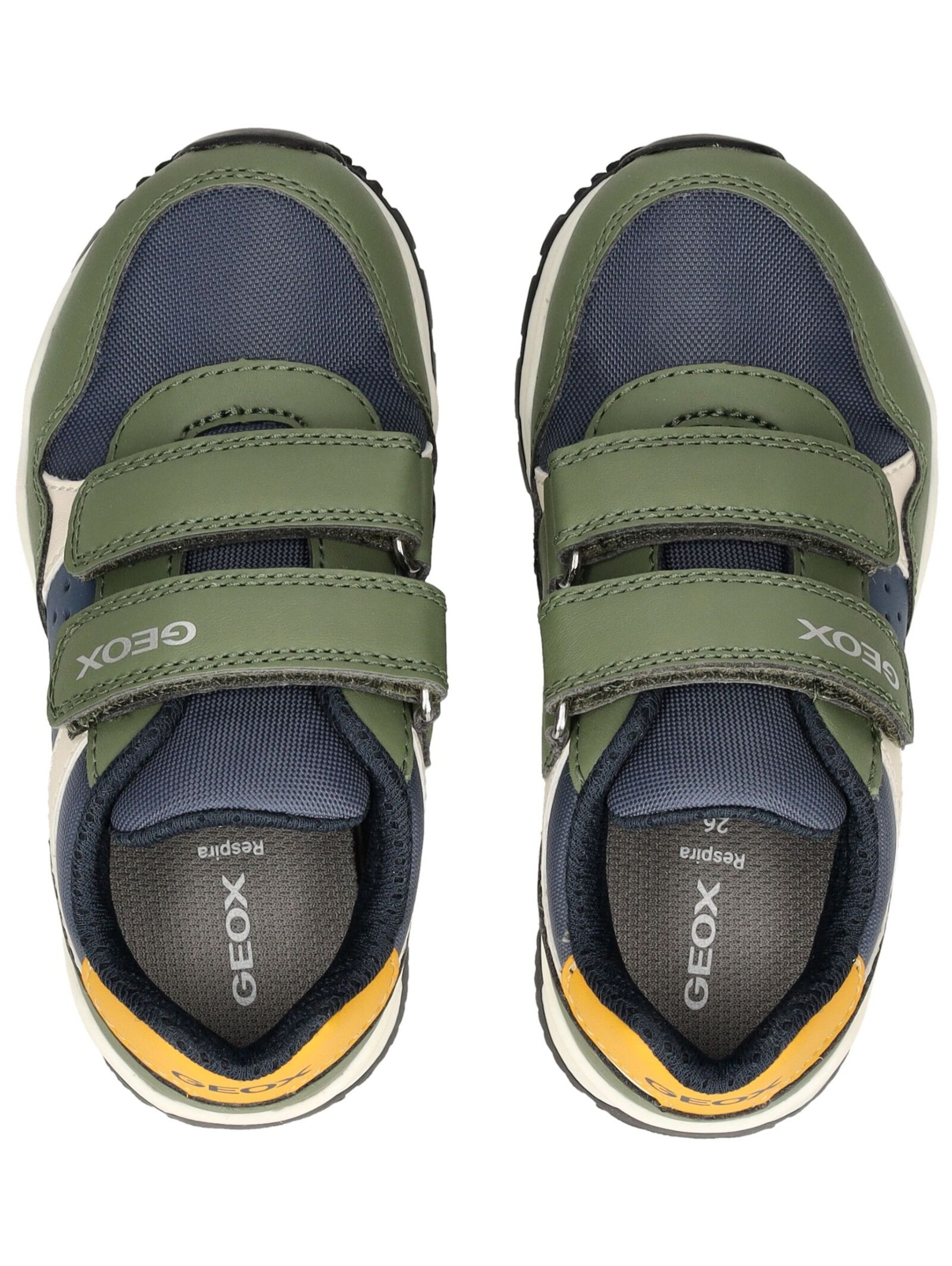 GEOX Sneaker in Grün