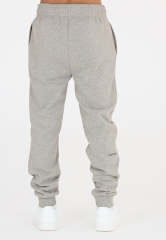 Les'Arcs Regular Hose 'Abeni' in Grau