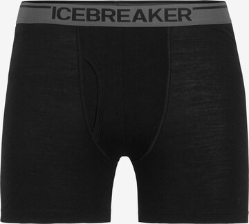 ICEBREAKER Спортивные трусы 'Anatomica' в Черный: спереди