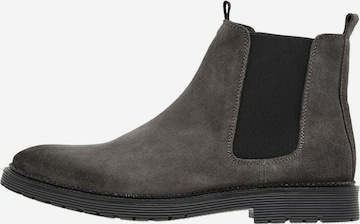 Bianco Chelsea Boots 'Darnell' in Grey: front