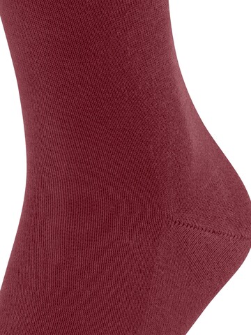 FALKE Socks 'Family' in Red