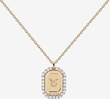 P D PAOLA Necklace in Gold: front