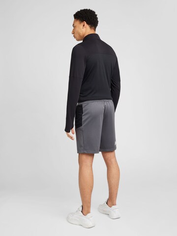 regular Pantaloni per outdoor di THE NORTH FACE in grigio