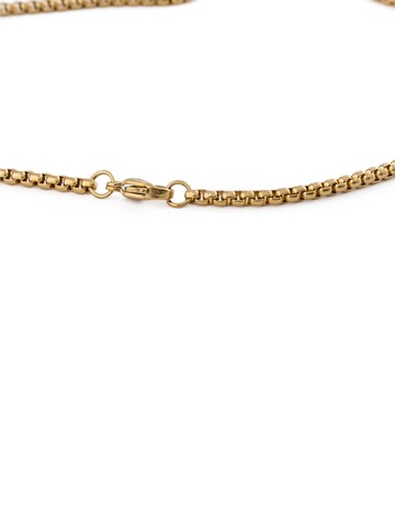 Akitsune Kette 'Bacas' in Gold