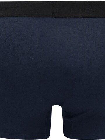 alan red Boxershorts in Blauw