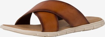 s.Oliver Mules in Brown: front