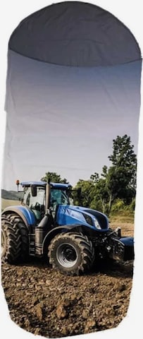 aptex Schlafsack in Mischfarben: Vorderseite